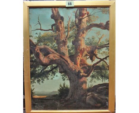 T** U** R**? (19th century), Study of a tree, oil on canvas, indistinctly signed with initials, 41cm x 31cm.   