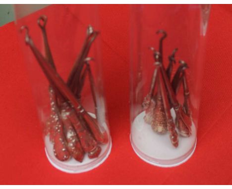 A collection of button hooks, includes hallmarked silver, in two plastic tubes
