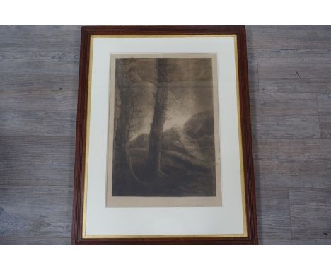 ALPHONSE LeGROS (1837-1911): A framed an glazed etching , "Les Grand Arbes No. 172".  Signed bottom right. Plate size 57cm x 