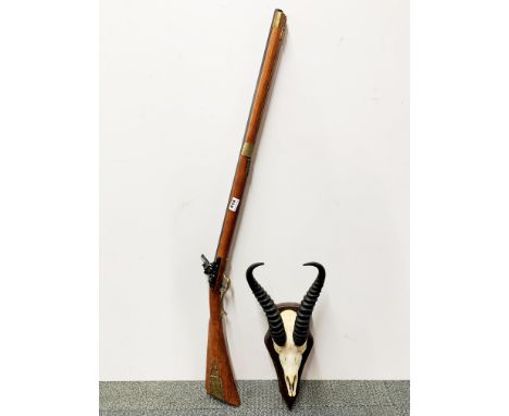 A replica flintlock rifle with a wall mounted taxidermy animal head.