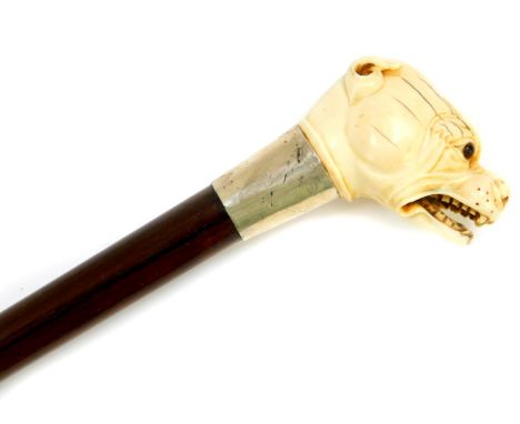 An Edward VII rosewood walking stick, with ivory handle carved as a bulldog's head, silver ferrule, Birmingham 1905, 85cm hig