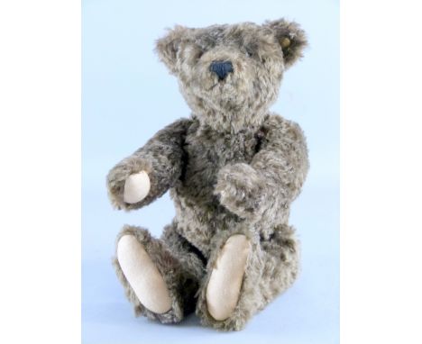 Stieff brown teedy bear  