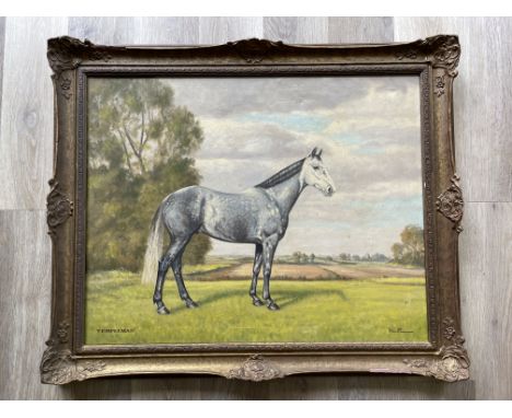 Gilt Framed Stan o`Connor portrait of a horse, oil on canvas, 74cm x 59cm