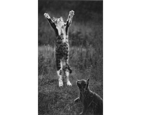 Pentti Sammallahti (born 1950)Koylio, Finland, 1973Gelatin silver print, signed and dated in pencil in the margin.9 3/4 x 5 1