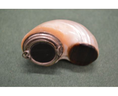 A shell shaped snuff box.