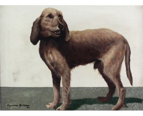 Richard Ballard '31"Portrait of a Daschund," O.O.C., approx. 31cms x 41cms (12" x 16"), signed and dated, framed. (1)