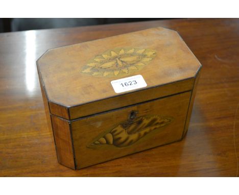 George III satinwood two division tea caddy of irregular octagonal design inlaid with shells and insects 