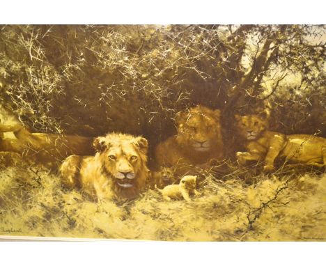 David Shepherd, signed coloured print, ' Pride of Lions ', 19.5ins x 29.5ins, framed 