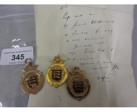 Group of three 9ct gold and enamel season 1919 / 20, Essex Senior cup medals 