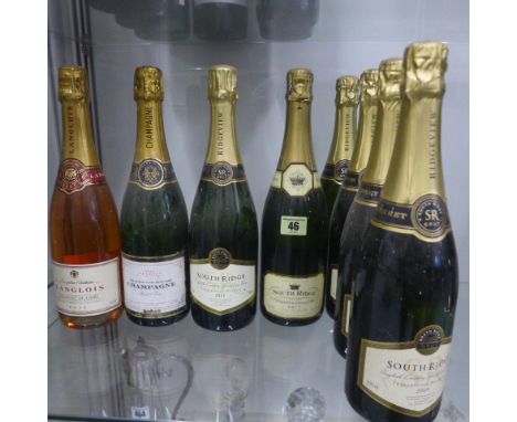 Four bottles of South Ridge sparkling wine 2009, one 2012 and 1996 Chardonnay and Pinot Noir, a Sunday Times Champagne and La