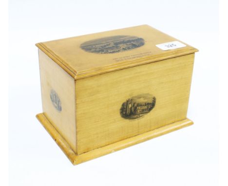 Mauchline Ware tea caddy, the lid depicting Birnam from Birnam Hill, from the Athole Plantations, Dunkeld, the interior with 