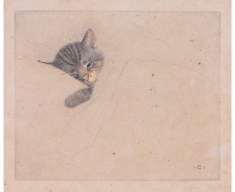 Coloured etching, sleeping kitten, indistinctly signed in pencil, plate size 8" x 10", mounted.