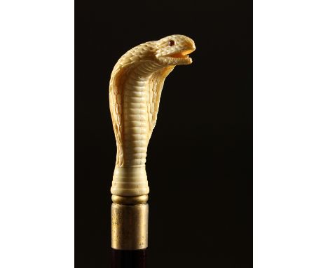 A BONE HANDLE WALKING STICK, carved as a cobra. 36ins long.