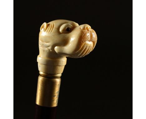 A BONE HANDLE WALKING STICK, carved as a dog. 37ins long.