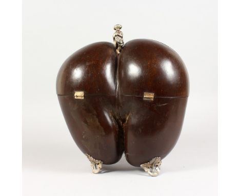 A HIGHLY UNUSUAL TANTALUS, formed from a Coco de Mer with plated mounts, opening to reveal a good pair of cut glass decanters