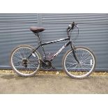 Probike Team 260 black mountain bike
