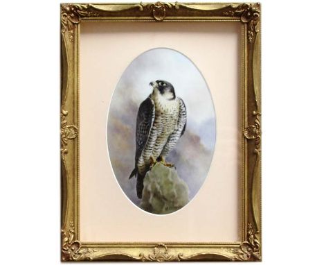 MILWYN HOLLOWAY (Royal Worcester Artist) Falcon on a Rock, oval porcelain plaque, signed, printed mark verso, 22cm x 14cm
