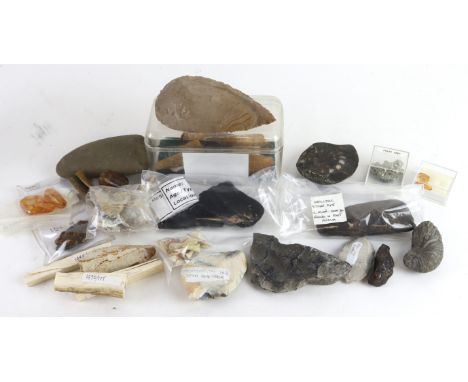 Artefacts, fossils and minerals (30 plus 23x small shark teeth). Noted 4x spinosaurus teeth; a Neolithic stone axe head (foun