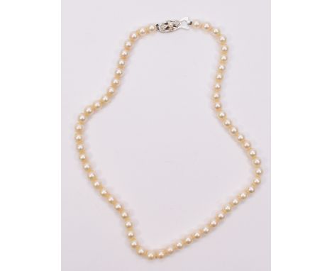 A uniform single row cultured pearl necklace, 7mm beads, 43cm, Mikimoto signed silver clasp.  In very good condition showing 