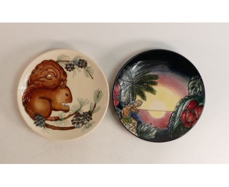 Moorcroft plates to include Birth of Light 2000 and Squirrel 1995 . Boxed , Both limited edition , diameter 222.5cm 