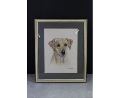 Mabel Gear (1900-1997) Framed Signed Pastel Portrait Study of a Golden Labrador Dog 