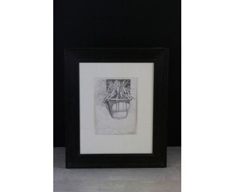 Sarah Natasha Raphael (English 1960-2001) Original Pencil of Still Life Pot Plant on a Ledge 