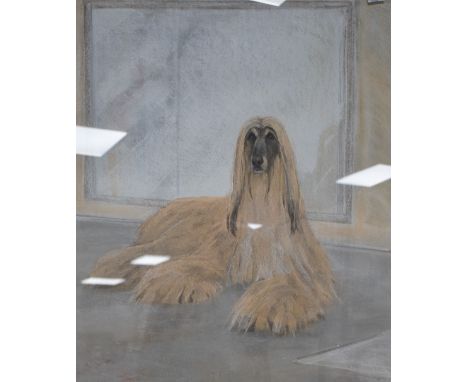 R,M Tomlinson (British 20th century) chalks, recumbent Afghan Hound, signed lower left, within a material moul=nted and mould