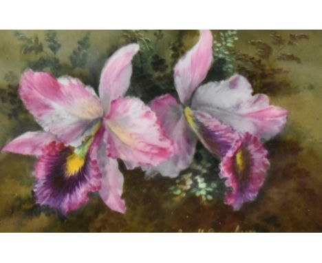 George H. Dewsberry (19th Century) oil on board, flora, signed lower right, within gilt mount and gilt frame, under glass, 9c