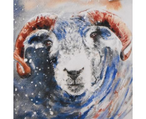 After Jackie Hadwin (British contemporary) limited edition coloured print 'Turned Nasty Again' Herdwick sheep, signed, entitl