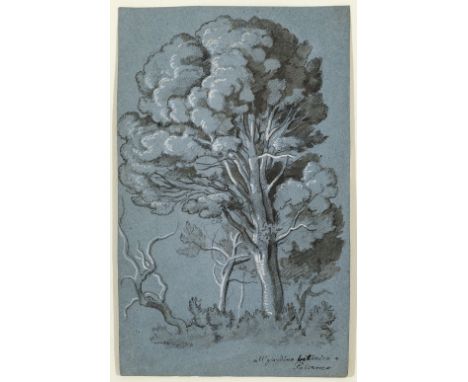 Johann Georg von Dillis1759 Gmain - 1841 MünchenIm Botanischen Garten von PalermoRücks. Studie des Inneren eines Bauernhauses