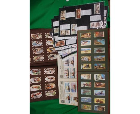 A collection of vintage cigarette cards in three folders on various subjects.

Cost to post within the uk is £15.99+ VAT on a