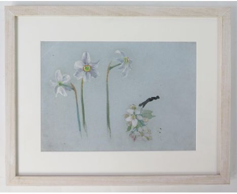Evelyn de Morgan (British 1855 - 1919)  Pre-Raphaelite artist, 'Narcissi and Apple Blossom', watercolour study, from a collec