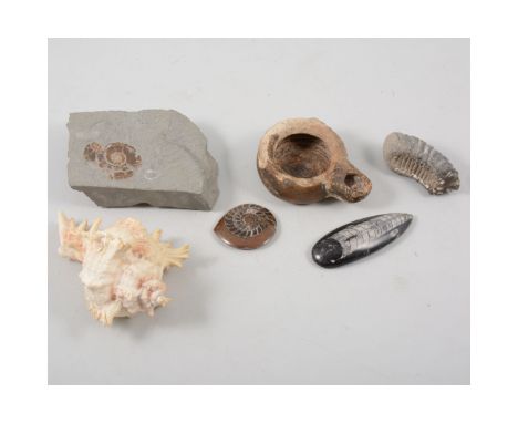 An assorted quantity of fossils, quartz type stones and a Roman clay lamp.