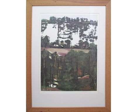 Miriam Mc Cannon (Irish 1977), lithograph signed and numbered 42/150. Framed 110X81cm, the print 72X53cm.