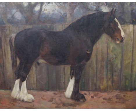 STUART REID (SCOTTISH 19TH/20TH CENTURY) A CLYDESDALE HORSE IN A PADDOCK Oil on canvas, signed, 86.5 x 112cm (34 x 44") This 