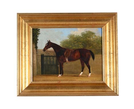 BRITISH SCHOOL (19TH CENTURY)  STUDY OF A SADDLED HUNTER Oil on board 35 x 44cm (13¾ x 17¼ in.)  Provenance: Private Collecti