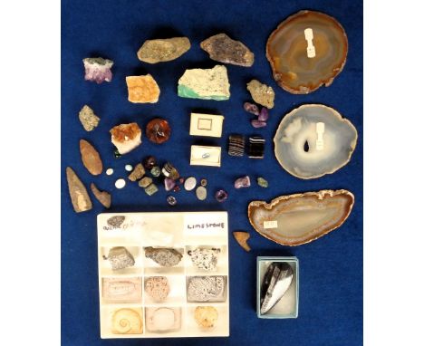 Collectables, Fossils and stones, a collection to include a cut aquamarine and other stones, a polished Orthocone, slices of 