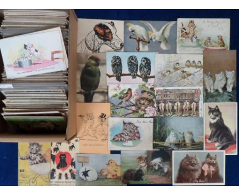 Postcards, Animals, a collection of 550+ cards to include birds (132), cats (121) and other animals (300) many artist drawn t