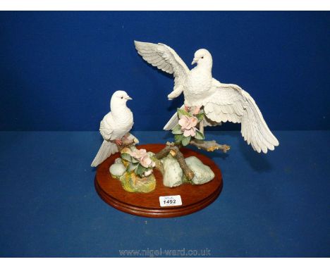 A Russell Willis, Chiltern collection for Border Fine Arts limited edition 'Pair of Fan Tailed Doves' .