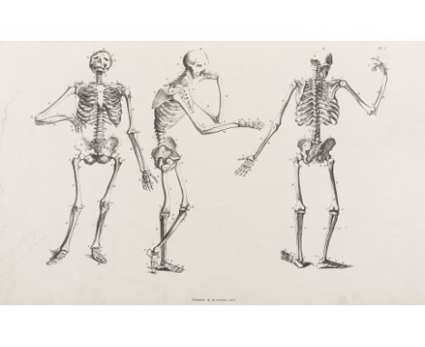 NO RESERVE Landseer (Henry).- Flaxman (John) Anatomical Studies of the Bones and Muscles, for the use of artists, first editi