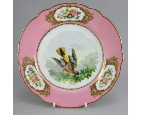 A mid-nineteenth century hand-painted porcelain plate, c 1840-60. It has a central scene of a bird and the border has gilded 
