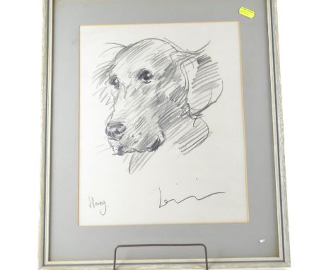 Pencil sketch of a dog called Honey, signed lower right, appears to be Lenkiewicz, 39 x 47cm inclusive of frame, along with L