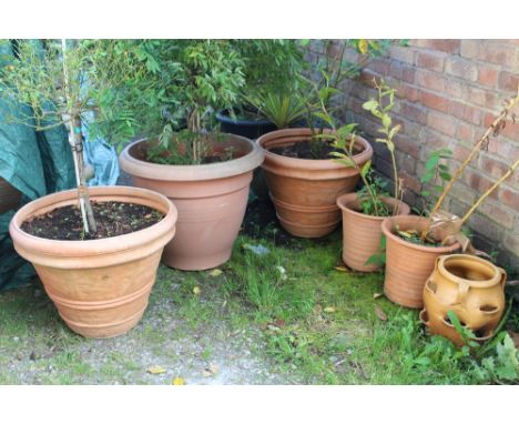 THREE LARGE PLASTIC PLANT POTS TOGETHER WITH THREE SMALLER CERAMIC EXAMPLES PLUS CONTENTS 