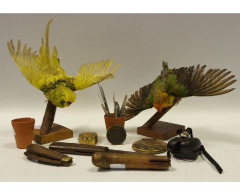 Three horticultural pocket knives; two taxidermy budgies; a reproduction Third Reich pocket compass; a BMW motorbike mascot w