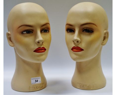 A Zeplar mannequin head; another (2)