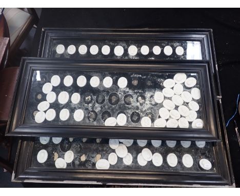 A COLLECTION OF 19TH CENTURY GRAND TOUR STYLE PLASTER RELIEF PORTRAIT ROUNDELS depicting classical figures, contained in thre
