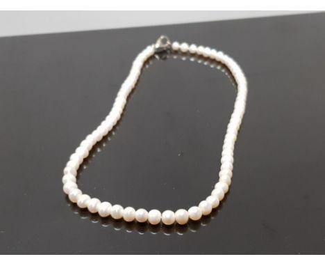 FRESHWATER PEARL NECKLET ON SILVER CATCH
