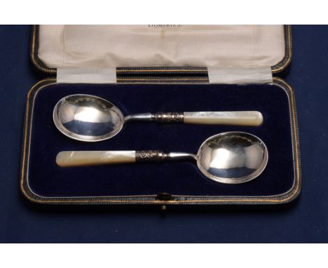 A pair of George V silver preserve spoons, by Allen & Darwin, Sheffield 1920, with mother-of-pearl handles, in fitted case.