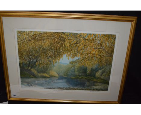 A colour etching, by Frances St. Clair Miller - "Swans Bredwardine", no. 2/50.