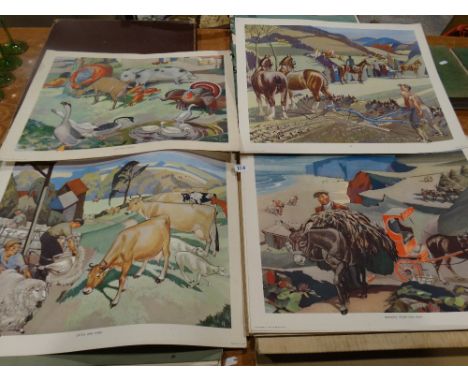     A Complete Set Of Forty Unframed Colour Schoolroom Prints From The Useful Animals Of The World Series                    